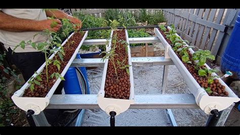 Diy Automated Hydroponic System At Home Youtube