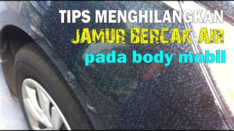 Cara Menghilangkan Jamur Pada Body Mobil Youtube