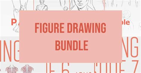 Figure Drawing Tutorials Special Special Bundle By Fernanda Suarez