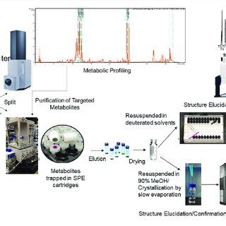 Schematic Representation Of Integrated Analytical Workflow