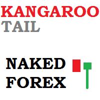 Buy The Forex Naked Kangaroo Tail Robot For Mt Trading Robot Expert