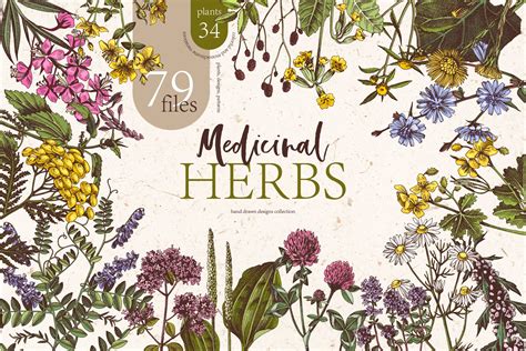 Hand Drawn Medicinal Herbs Design Cuts