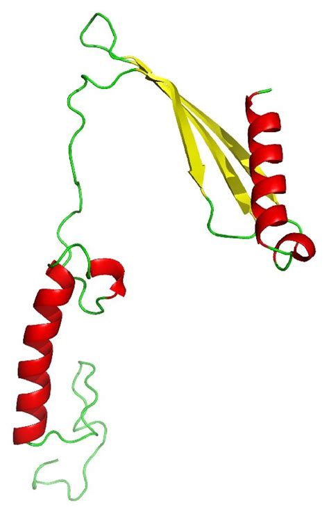 3D Representation Of Homology Models Of Three Hypothetical Proteins