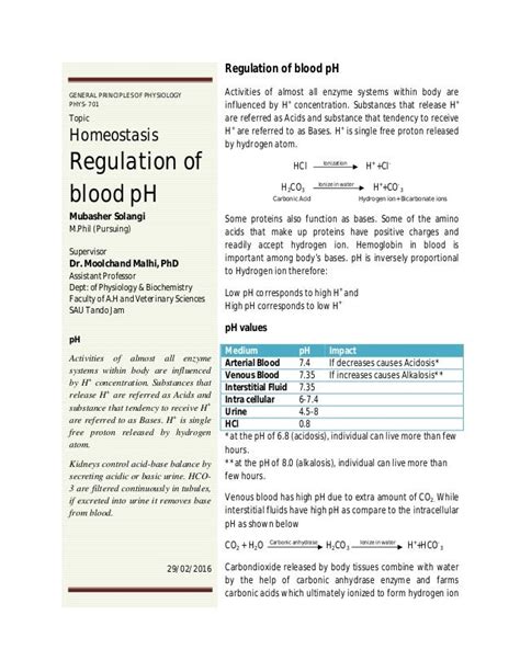 Latest Regulation: Blood Ph Regulation Homeostasis