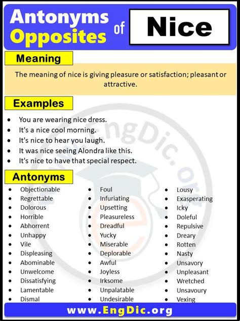 Opposites Of Nice EngDic