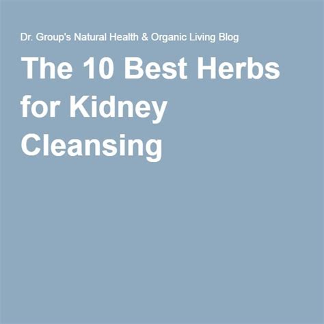 The 10 Best Herbs For Kidney Cleansing Kidney Cleanse Natural Health