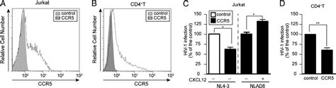 Ccr5cd4cxcr4 Oligomerization Prevents Hiv 1 Gp120iiib Binding To The