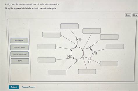 Solved Assign A Molecular Geometry To Each Interior Atom In Adenine