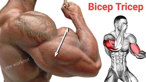 The Worlds Bicep Tricep Exercises To Build In 22 Days In 2024 Bicep