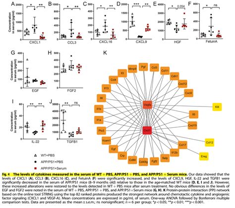 Molecular Psychiatry—ad重磅：血清vegf A通过阻断中性粒细胞入脑进而改善appps1小鼠的记忆损害中性粒细胞重