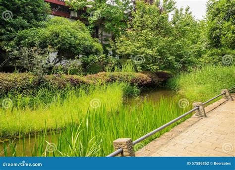 Grassy Brook Before Chinese Traditional Houses In Sunny Summer A Stock