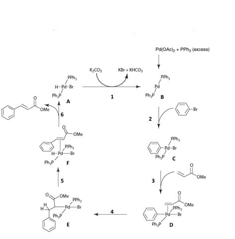 Solved The Catalytic Cycle Below Describes A Typical Heck Chegg