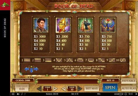 🎰Book of Dead Slot - free play demo game and rtp 🎰