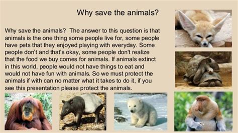 Save The Animals