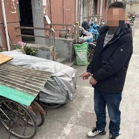 普陀警方侦破一起盗窃外卖电动自行车专用牌照案 同是外卖小哥“相煎何太急”？车牌小龙小区