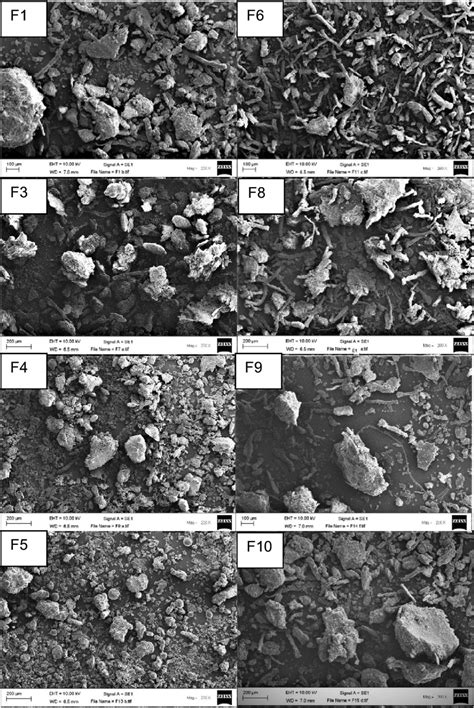 Sem Images Of Selected Granules Of Hpmc And Methocel Formulations X