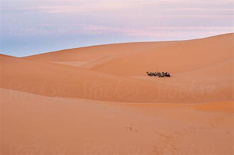 Erg Chebbi sand dunes in Merzouga, Morocco by Amanda Large - Stocksy United