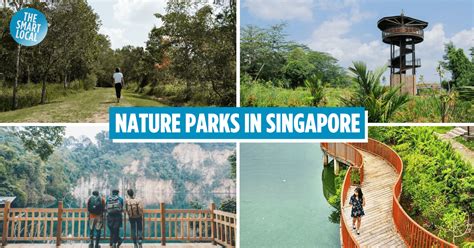 14 Best Nature Reserves And Parks In Singapore To Unwind At