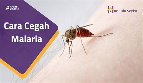 Cara Cegah Malaria Hanania Serka