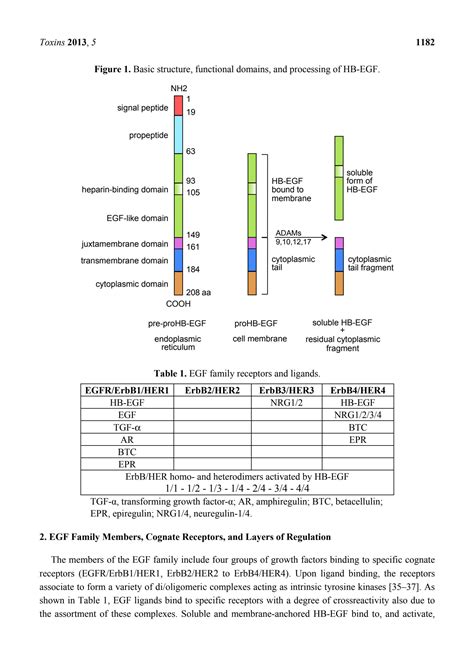 Solution Heparin Binding Epidermal Growth Factor Like Growth Factor