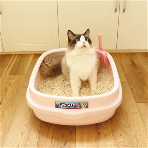 Plastic Indoor Pet Toilet Large Cat Litter Box Bedpans Cofre Arenero