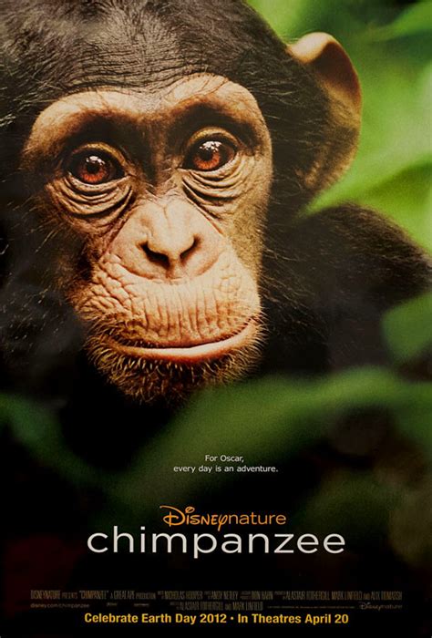 Chimpanzee Original 2012 U.S. One Sheet Movie Poster - Posteritati Movie Poster Gallery