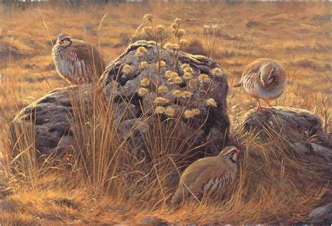 Partridge Painting at PaintingValley.com | Explore collection of Partridge Painting