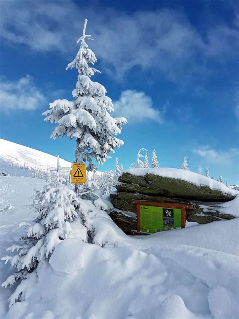 Zima Pod Kr Ovou Ho Ou Fotografie Zdarma Na Stiahnutie Fotkyzadarmo Sk