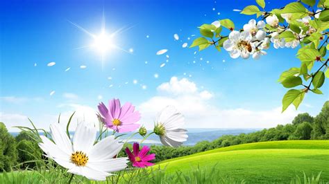 Beautiful Scenery Flowers Picture Wallpaper 1600 X 900 Flower