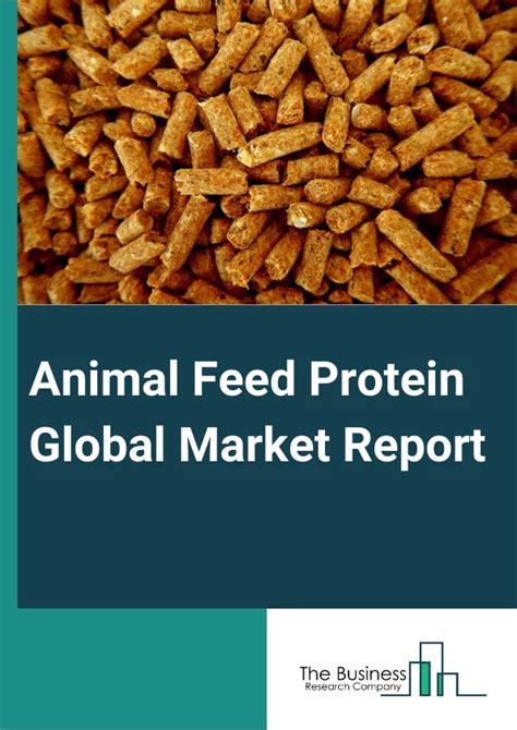 Animal Feed Protein Market Report 2024 Animal Feed Protein Market