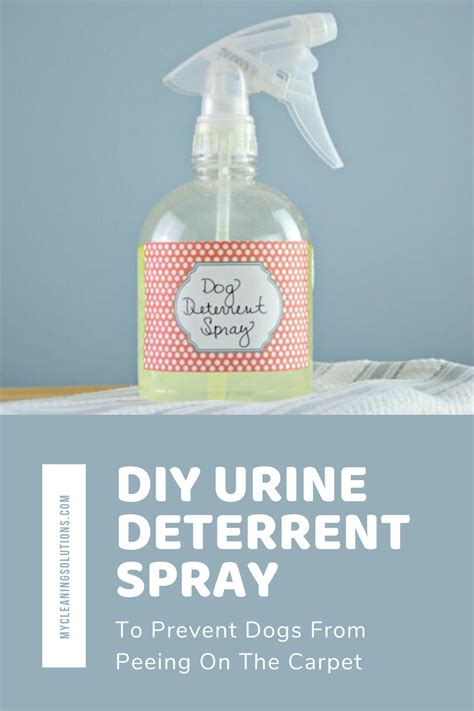 Diy Urine Deterrent Spray To Prevent Dogs From Peeing On The Carpet In