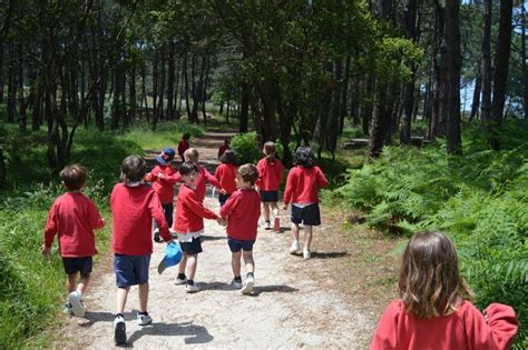 Excursiones escolares en Pontevedra diversión asegurada