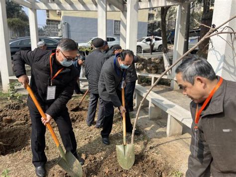 尧化街道：党员冬训聚合力 植树添绿绘家园中国江苏网