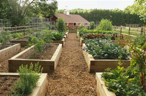 Raised Bed Garden From A Z What To Know Joe Gardener®