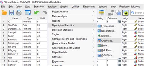 SPSS ile Ki Kare Homojenlik Testi Resimli SPSS YARDIMI İSTATİSTİK