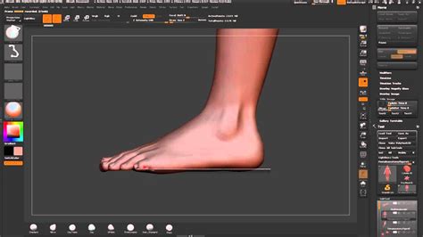 Zbrush Tutorial Anatomy Sculpt Flattening The Feet Youtube