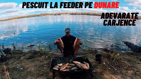 Pescuit La Feeder Pe Dunare Am Prins Platici Superbe YouTube