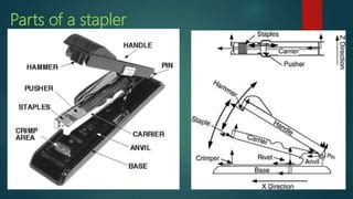 Stapler | PPT