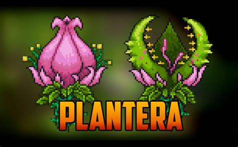 Terraria Plantera Battle Youtube