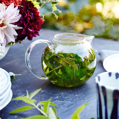 Verbena Tea | Martha Stewart