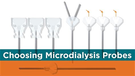 Eicom Microdialysis Probes for In Vivo Research | Amuza Inc