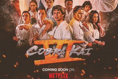 Cobra Kai Season 6 Release Date Premier Cast Plot And More