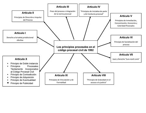 Los Principios Procesales En El Código Mapa Conceptual Artículo X