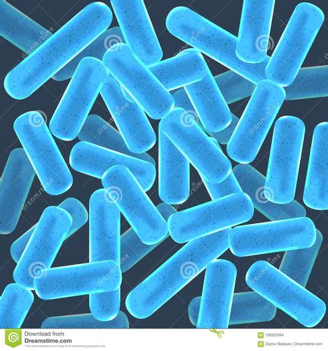 Microbiology Final Study Guide Flashcards Quizlet