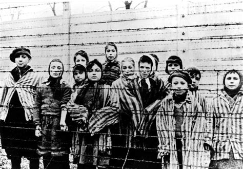 Liberation Of Auschwitz Cnn