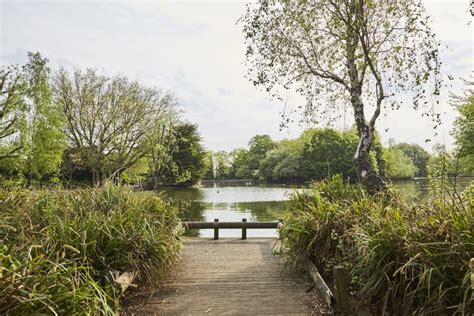 Explore The Park At Alexandra Palace