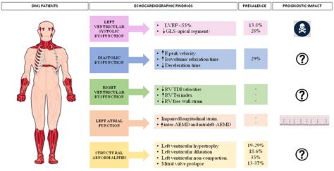 Jcm Free Full Text Echocardiographic Features Of Cardiac