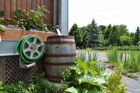 Benefits Of Rain Barrels Greenscape Geeks Landscape Architects