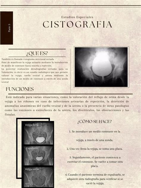 Resúmenes de Cistografía Descarga apuntes de Cistografía