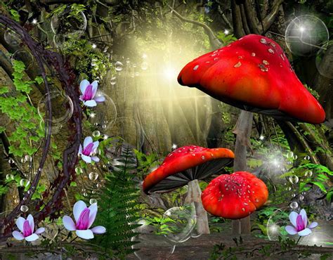 Enchanted Forest Desktop Wallpaper - WallpaperSafari